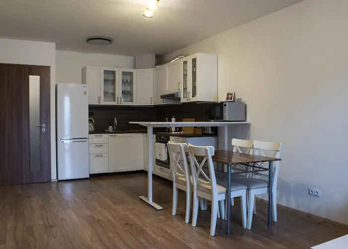 Vitkov - Free Parking Apartment Prague